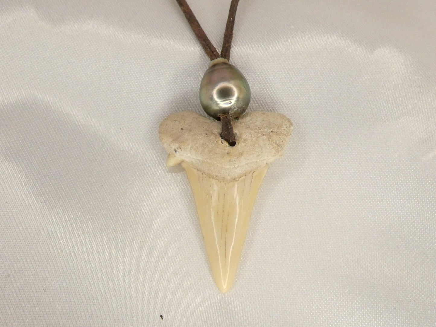 Collier en cuir avec dent de requin